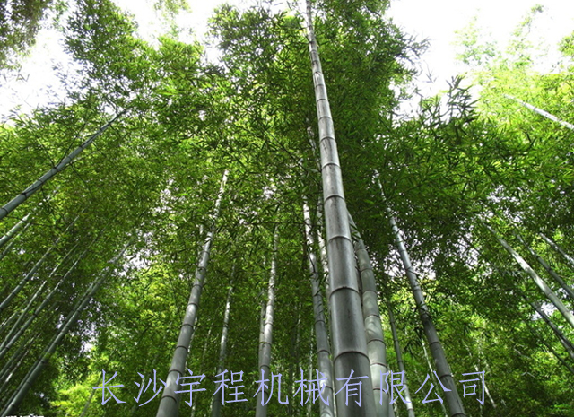 竹子加工設(shè)備 竹子加工設(shè)備