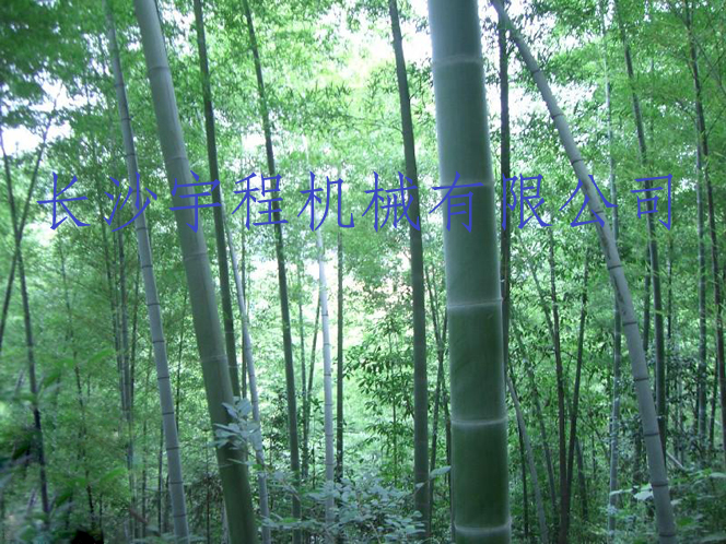 竹子加工設(shè)備 竹子加工設(shè)備