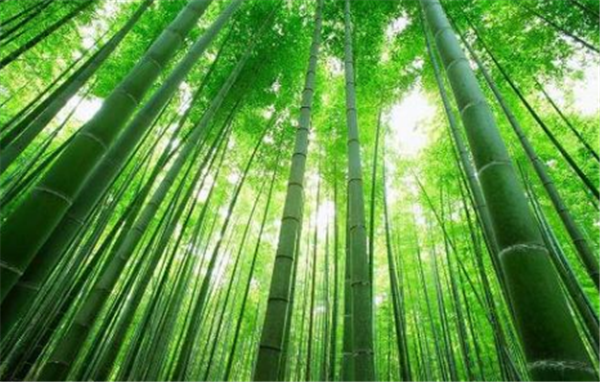 新聞動態(tài) 新聞動態(tài)