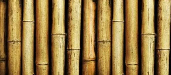 新聞動(dòng)態(tài) 新聞動(dòng)態(tài)