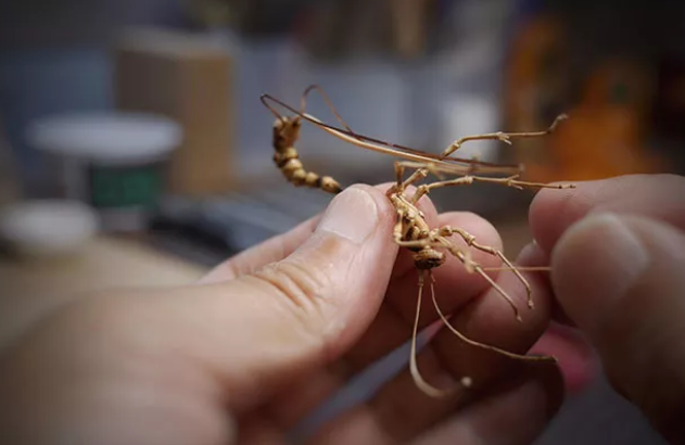 新聞動態(tài) 新聞動態(tài)