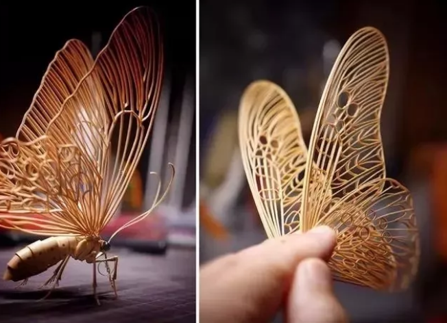 新聞動態(tài) 新聞動態(tài)